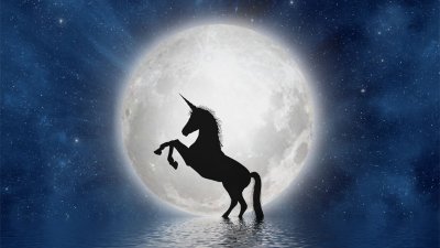 Looking for a recession-proof startup? Think twice before joining a unicorn