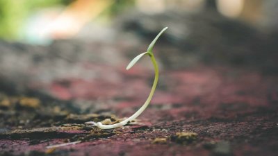 Is pre-seed funding all you’ll ever need?